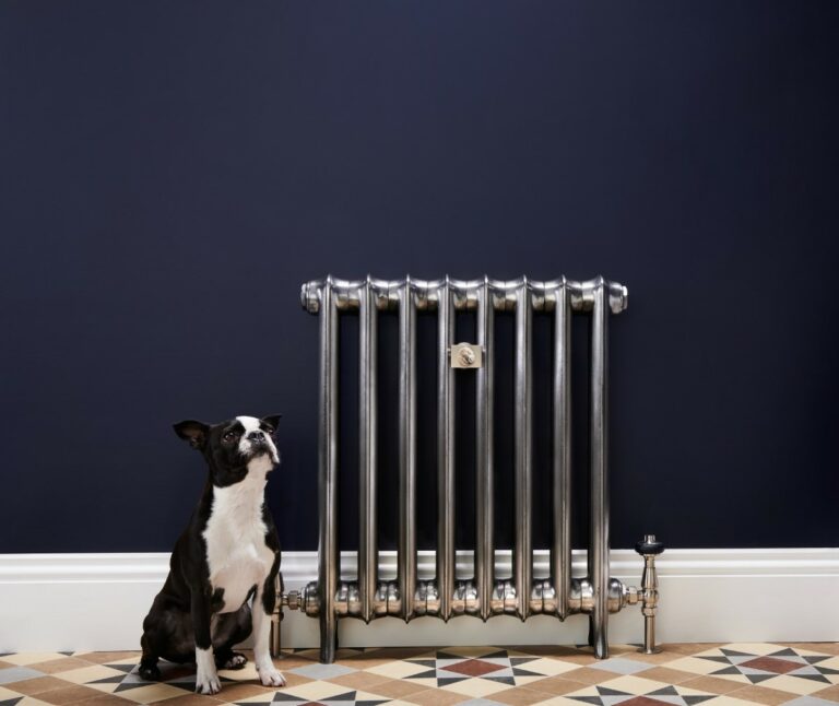 School style cast iron radiator in full polish